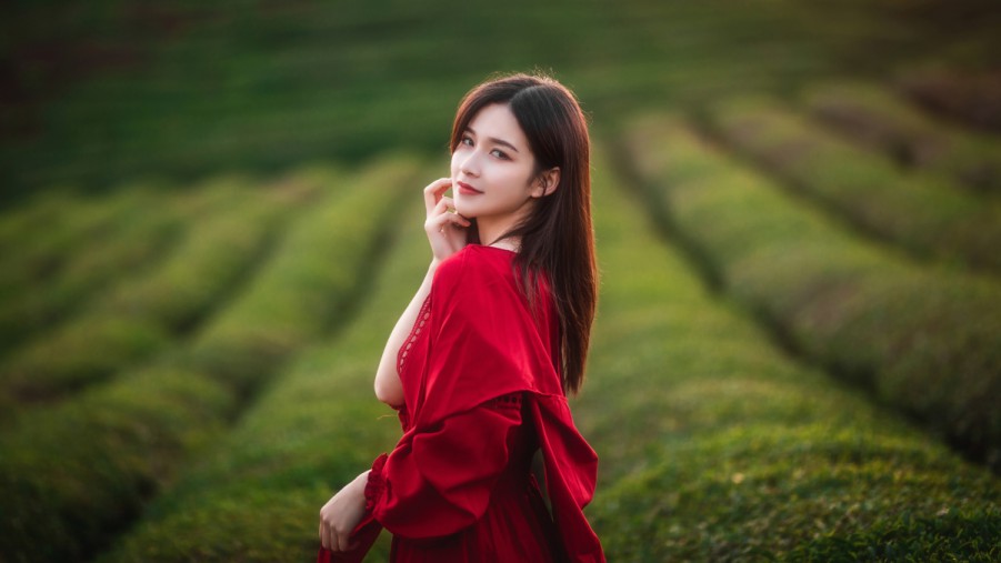 pXCSEO广州增城SEO排名优化提升本地企业网络曝光的实战策略p